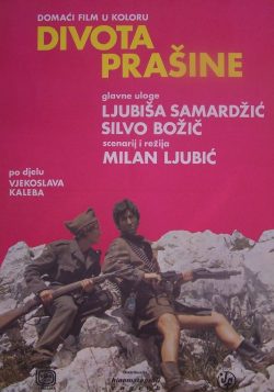 Divota prašine