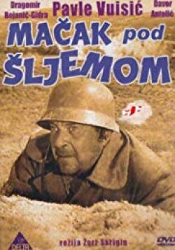 Mačak pod šljemom