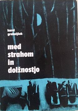 Med strahom in dolžnostjo