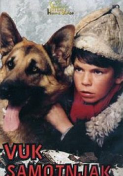 Vuk samotnjak