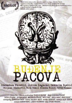 Buđenje pacova